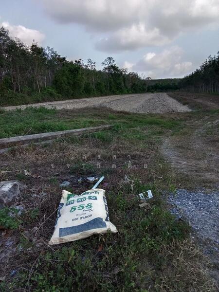 ที่ดินติดถนน 4018 ชะอวด, Nakhon Si Thammarat, Tha Pracha, Cha-uat, Nakhon Si Thammarat, , 21,852 sqm, Land For Sale, by อรสา ขจรกิตติยา, 500145789 - DDproperty.com