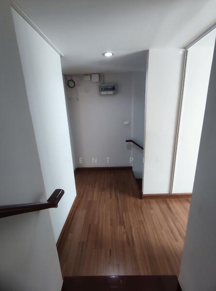 The Rich Biz Home @ Sukhumvit 105, Bangkok, Soi Lasalle, Srinakarin Road, Bang Na, Bang Na, Bangkok, 3 Bedrooms, 176 sqm, Townhouse For Rent, by Agent Pla, 500145835 - DDproperty.com