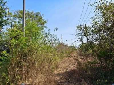 ขาย - ขายที่ดินเปล่า หัวหิน ใกล้ Black Mountain, ประจวบคีรีขันธ์