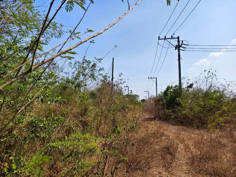 ขายที่ดินเปล่า หัวหิน ใกล้ Black Mountain, Prachuap Khiri Khan, Hin Lek Fai, Hua Hin, Prachuap Khiri Khan, , 400 sqm, Land For Sale, by ชญาพิชชา พันธกิจ, 500145863 - DDproperty.com