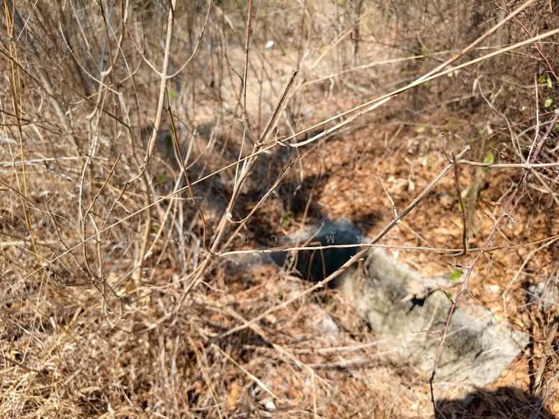 ขายที่ดินเปล่า หัวหิน ใกล้ Black Mountain, Prachuap Khiri Khan, Hin Lek Fai, Hua Hin, Prachuap Khiri Khan, , 400 sqm, Land For Sale, by ชญาพิชชา พันธกิจ, 500145863 - DDproperty.com