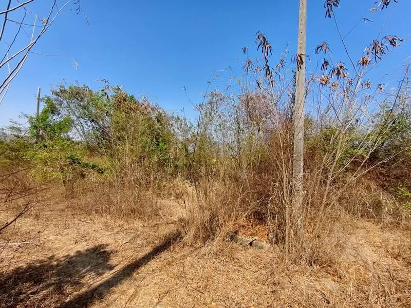 ขายที่ดินเปล่า หัวหิน ใกล้ Black Mountain, Prachuap Khiri Khan, Hin Lek Fai, Hua Hin, Prachuap Khiri Khan, , 400 sqm, Land For Sale, by ชญาพิชชา พันธกิจ, 500145863 - DDproperty.com