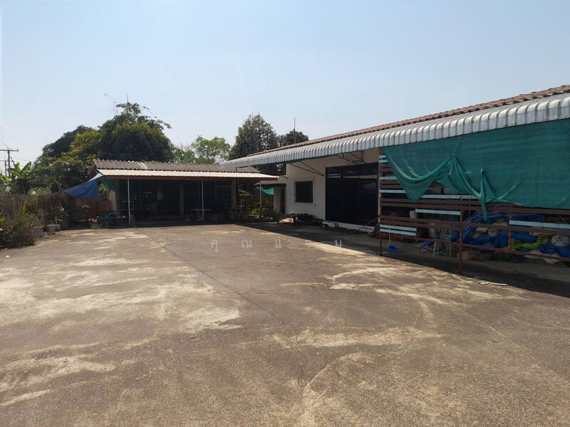 บ้านป่ากุ๊ก, Chiang Rai, Chan Chawa Tai, Mae Chan, Chiang Rai, 1 Bedroom, 143 sqm, Single Detached House For Sale, by คุณแจม, 500145989 - DDproperty.com