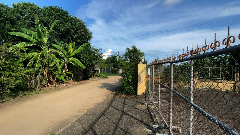 บ้านป่ากุ๊ก, Chiang Rai, Chan Chawa Tai, Mae Chan, Chiang Rai, 1 Bedroom, 143 sqm, Single Detached House For Sale, by คุณแจม, 500145989 - DDproperty.com