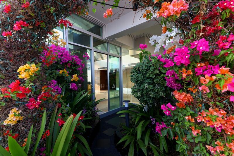 The Master Centrium Asoke-Sukhumvit, Bangkok, Sukhumvit 21, Khlongtoei Nua, Watthana, Bangkok, 4 Bedrooms, 450 sqm, Condo For Sale, by Nitchakarn  Wanitwichakornkit , 500146058 - DDproperty.com