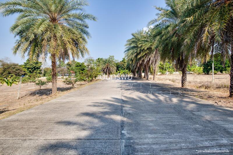 For Sale Land 30-3-47 Rai in Nong Kaew, Hang Dong, Chiang Mai, Chiang Mai, Nong Kaeo, Hang Dong, Chiang Mai, , 49,388 sqm, Land For Sale, by Rattawit Chaocharoensiri, 500146136 - DDproperty.com