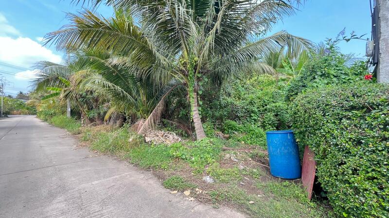 ที่ดินอัมพวา สมุทรสงคราม, Samut Songkhram, Bang Chang, Amphawa, Samut Songkhram, , 2,912 sqm, Land For Sale, by The Best Property   เก๋, 500146189 - DDproperty.com