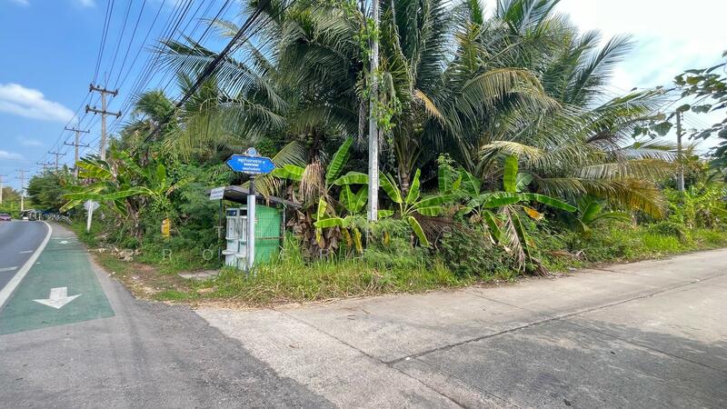 ที่ดินอัมพวา สมุทรสงคราม, Samut Songkhram, Bang Chang, Amphawa, Samut Songkhram, , 2,912 sqm, Land For Sale, by The Best Property   เก๋, 500146189 - DDproperty.com