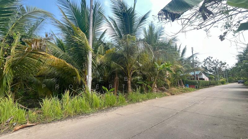 ที่ดินอัมพวา สมุทรสงคราม, Samut Songkhram, Bang Chang, Amphawa, Samut Songkhram, , 2,912 sqm, Land For Sale, by The Best Property   เก๋, 500146189 - DDproperty.com