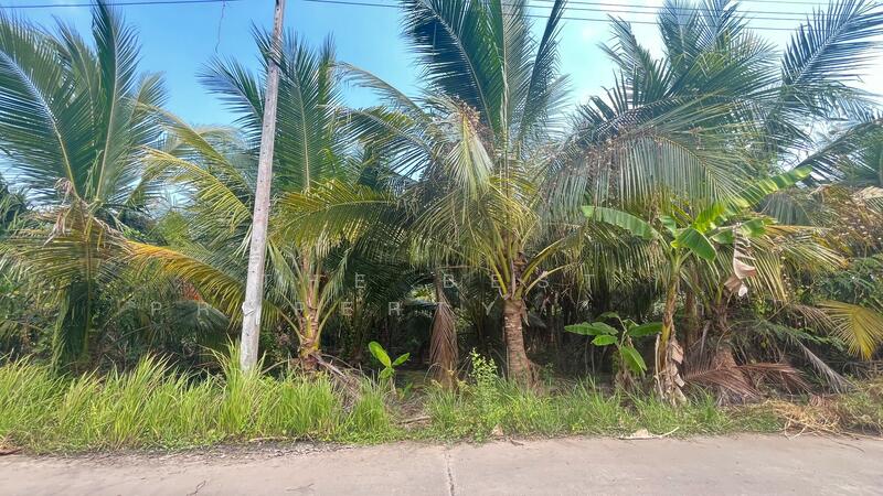 ที่ดินอัมพวา สมุทรสงคราม, Samut Songkhram, Bang Chang, Amphawa, Samut Songkhram, , 2,912 sqm, Land For Sale, by The Best Property   เก๋, 500146189 - DDproperty.com