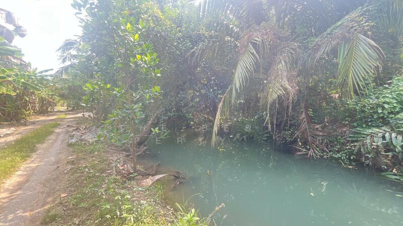 ที่ดินอัมพวา สมุทรสงคราม, Samut Songkhram, Bang Chang, Amphawa, Samut Songkhram, , 2,912 sqm, Land For Sale, by The Best Property   เก๋, 500146189 - DDproperty.com