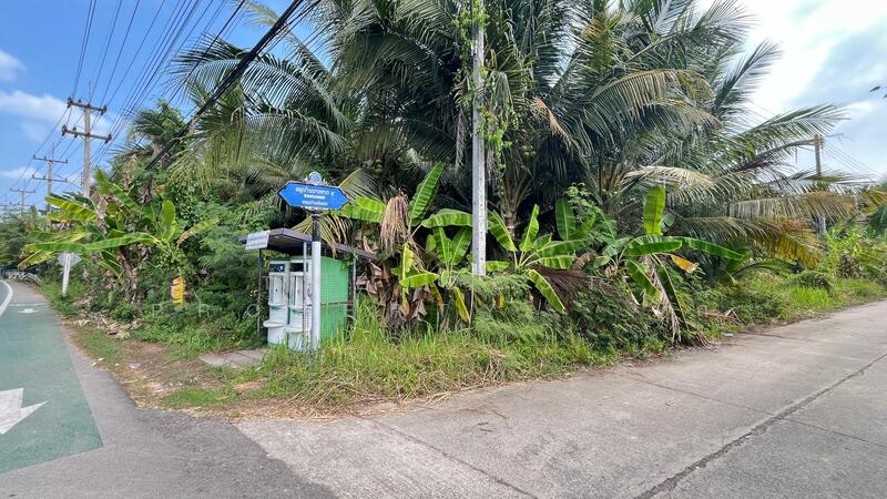 ที่ดินอัมพวา สมุทรสงคราม, Samut Songkhram, Bang Chang, Amphawa, Samut Songkhram, , 2,912 sqm, Land For Sale, by The Best Property   เก๋, 500146189 - DDproperty.com