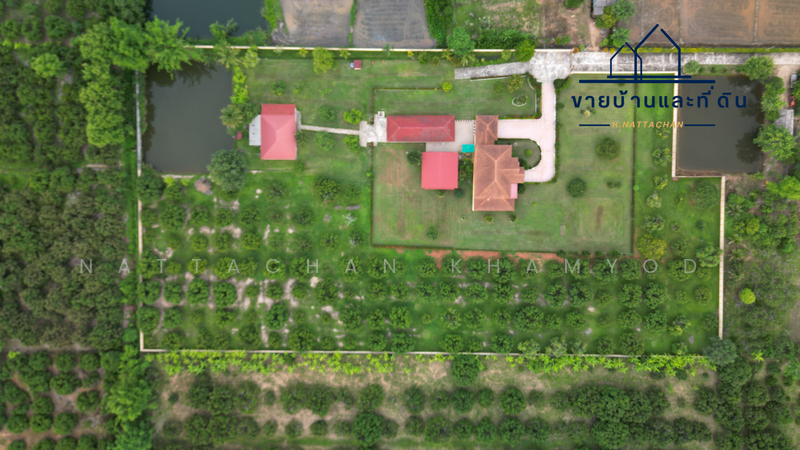 Exquisite English Cottage Retreat: 360-Degree Panoramic Mountain Vistas in Phrao, Chiang Mai., Chiang Mai, -, Khuan Phak, Phrao, Chiang Mai, 4 Bedrooms, 433 sqm, Single Detached House For Sale, by Nattachan Khamyod, 500146302 - Area 12rai 80 sqaure wa - DDproperty.com