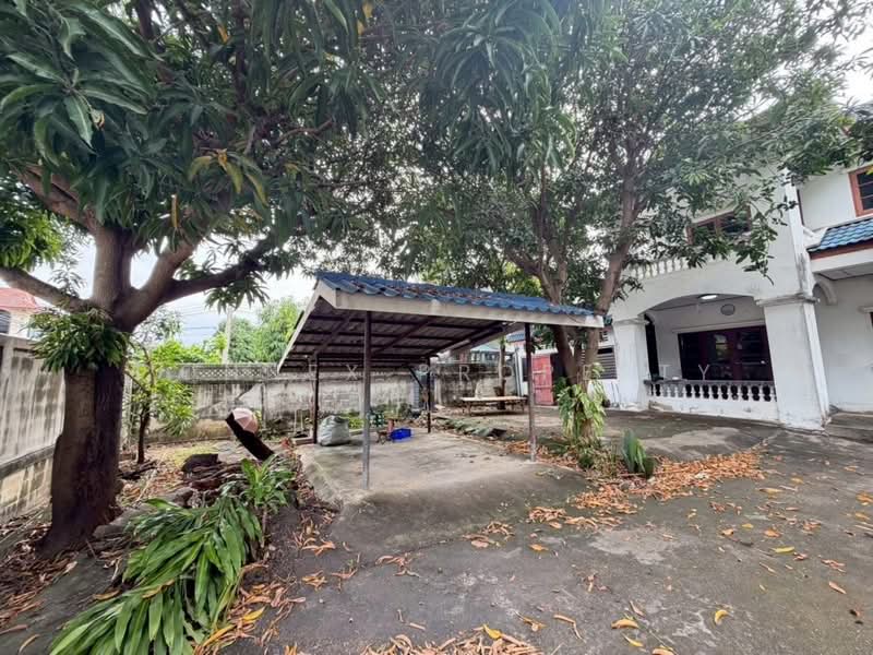 Busarakam Bang Khun Thian - Chai Thale, Bangkok, บางขุนเทียน, Samae Dam, Bang Khun Thian, Bangkok, 4 Bedrooms, 21 sqm, Single Detached House For Sale, by Connex Property, 500146340 - DDproperty.com