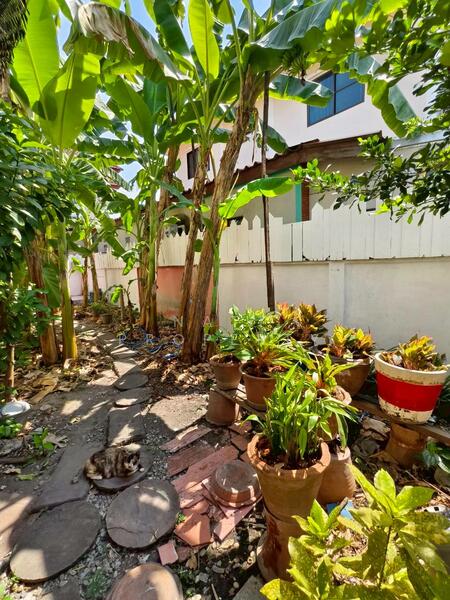 หาไม่ได้แล้วบ้านราคานี้ บ้านเดี่ยว2ชั้นสุดคุ้มค่า ราคา 2.54 ลบ.ขนาดที่ดิน 52 ตร.ว. 3 นอน 3 น้ำ, Bangkok, Khu Fang Nua, Nong Chok, Bangkok, 3 Bedrooms, 150 sqm, Single Detached House For Sale, by natt property, 500146360 - DDproperty.com