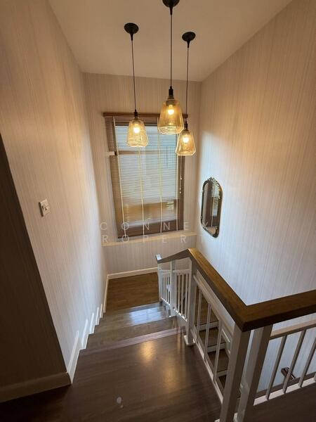 Setthasiri Pattanakarn, Bangkok, Phatthanakan-Onnut Road (New Cut), Prawet, Prawet, Bangkok, 4 Bedrooms, 180 sqm, Single Detached House For Rent, by Connex Property, 500146401 - DDproperty.com