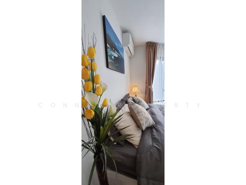 Rich Park @ Triple Station, Bangkok, 591 Srinakarin Road, Suan Luang, Suan Luang, Bangkok, 1 Bedroom, 27 sqm, Condo For Rent, by Connex Property, 500146427 - DDproperty.com