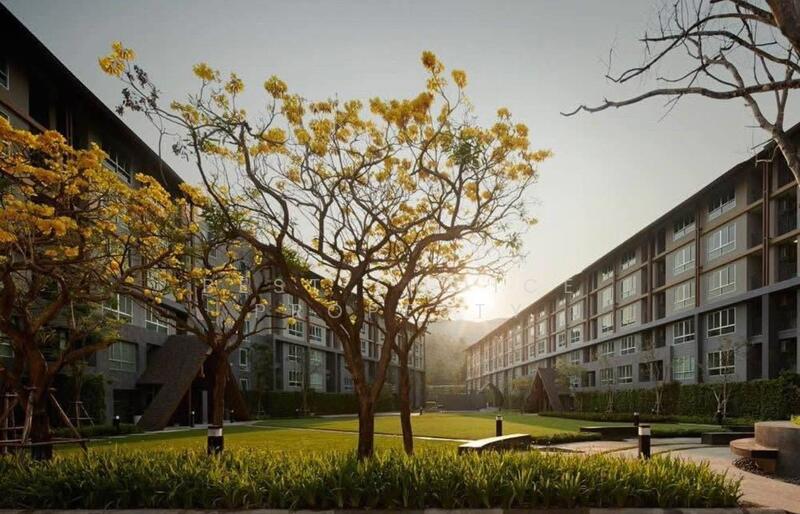 Dcondo Campus Resort Chiang Mai : ดีคอนโด แคมปัส รีสอร์ท เชียงใหม่, เชียงใหม่, สุเทพ, สุเทพ, เมืองเชียงใหม่, เชียงใหม่, 30 ตร.ม., คอนโด ให้เช่า, โดย Best Choice Property, 500146432 - DDproperty.com