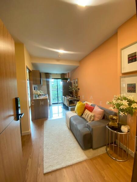 Arise Condo At Mahidol, Chiang Mai, Mahidol Road, Pa Daet, Muang Chiang Mai, Chiang Mai, 1 Bedroom, 32 sqm, Condo For Sale, by Pharita Chaimanee, 500146443 - DDproperty.com