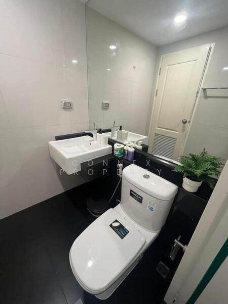 Bangkok Horizon Lite @ Phekasem 48 Station : แบงค์คอก ฮอไรซอน ไลท์ @ สถานีเพชรเกษม 48, กรุงเทพ, 99 ซอยเพชรเกษม 46/2 แขวงบางหว้า ภาษีเจริญ, บางหว้า, ภาษีเจริญ, กรุงเทพ, 25 ตร.ม., คอนโด ให้เช่า, โดย Connex Property, 500146515 - DDproperty.com