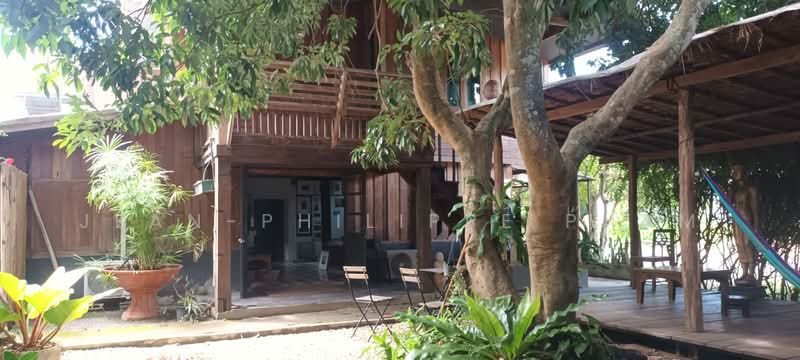 ทำเลค้าปลีกชั้นเยี่ยมในย่านตลาดวันพุธที่เป็นที่ต้องการอย่างมาก, แม่ฮ่องสอน, 661 Wiang Tai, เวียงใต้, ปาย, แม่ฮ่องสอน, 167 ตร.ม., ตึกแถว-อาคารพาณิชย์ ขาย, โดย Jean-Philippe Pham, 500146520 - DDproperty.com