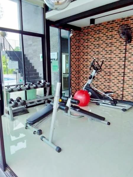 ไม่พบโครงการ, Bangkok, รามคำแหง 156-158, Khlong Song Ton Nun, Lat Krabang, Bangkok, 4 Bedrooms, 170 sqm, Townhouse For Rent, by ณัฐพงศ์ สุนทรอรุณ, 500146598 - DDproperty.com