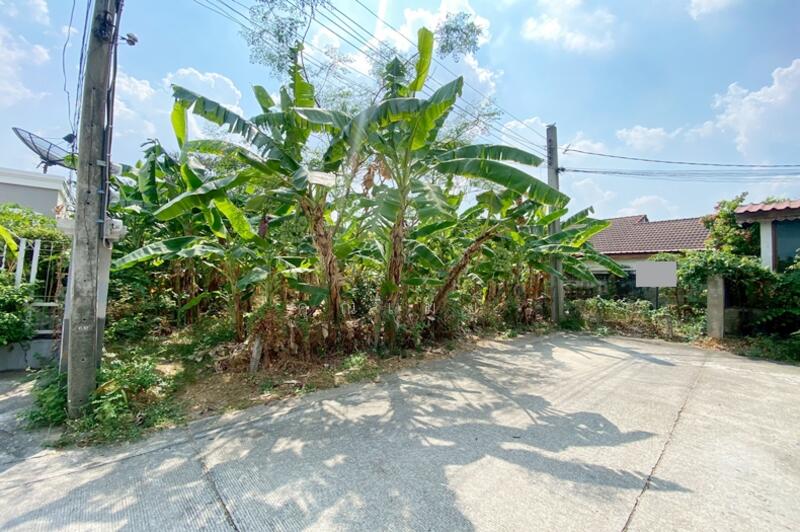 หมู่บ้านชลลดา บางบัวทอง, Nonthaburi, ถนนบางกรวย-ไทรน้อย, Sanoe Loi, Bang Bua Thong, Nonthaburi, , 412 sqm, Land For Sale, by คุณเมย์, 500146680 - DDproperty.com
