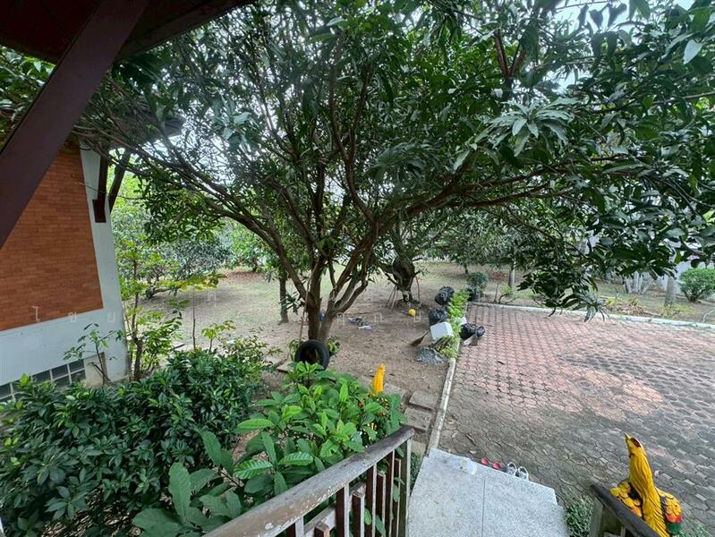 บ้านเดี่ยว 3 ชั้น 442 ตร.ว. บ้านเดี่ยว ถนนพุทธมณฑลสาย7 ซอยทรงคนอง-ไร่ขิง, นครปฐม, หอมเกร็ด, สามพราน, นครปฐม, 1,700 ตร.ม., บ้านเดี่ยว ขาย, โดย คุณ ณัติรุจน์ ไชยสุนทรพฤกษ์ (ตั้ม), 500146697 - DDproperty.com