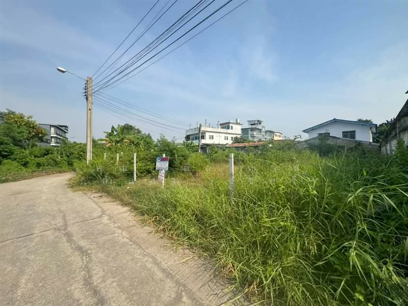 ที่ดินเปล่า 85.3 ตร.ว. ที่ดินเปล่า ซอยเทียนทะเล20 แยก3-1 ถนนบางขุนเทียน, กรุงเทพ, แสมดำ, บางขุนเทียน, กรุงเทพ, 340 ตร.ม., ที่ดิน ขาย, โดย คุณ ชุติกาญจน์ กล่ำแสง (เชอรี่), 500146740 - DDproperty.com