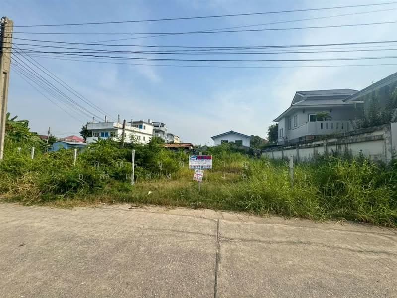 ที่ดินเปล่า 85.3 ตร.ว. ที่ดินเปล่า ซอยเทียนทะเล20 แยก3-1 ถนนบางขุนเทียน, Bangkok, Samae Dam, Bang Khun Thian, Bangkok, , 340 sqm, Land For Sale, by คุณ ชุติกาญจน์ กล่ำแสง (เชอรี่), 500146740 - DDproperty.com