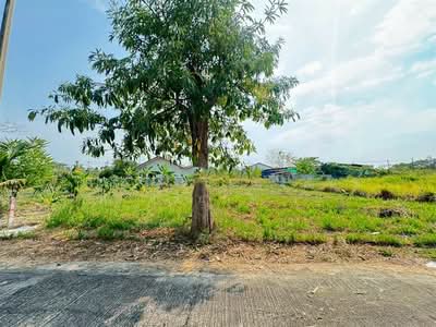 ขาย - ที่ดินเปล่า 100 ตร.ว. ที่ดิน หมู่บ้านออมไทย ใกล้กรมที่ดินสามพราน นครปฐม, นครปฐม