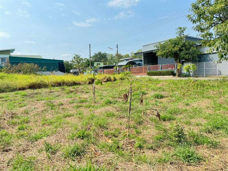 For Sale - ที่ดินเปล่า 100 ตร.ว. ที่ดิน หมู่บ้านออมไทย ใกล้กรมที่ดินสามพราน นครปฐม, Nakhon Pathom