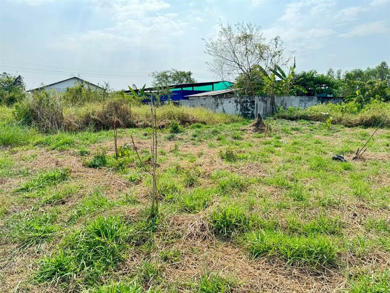 For Sale - ที่ดินเปล่า 100 ตร.ว. ที่ดิน หมู่บ้านออมไทย ใกล้กรมที่ดินสามพราน นครปฐม, Nakhon Pathom