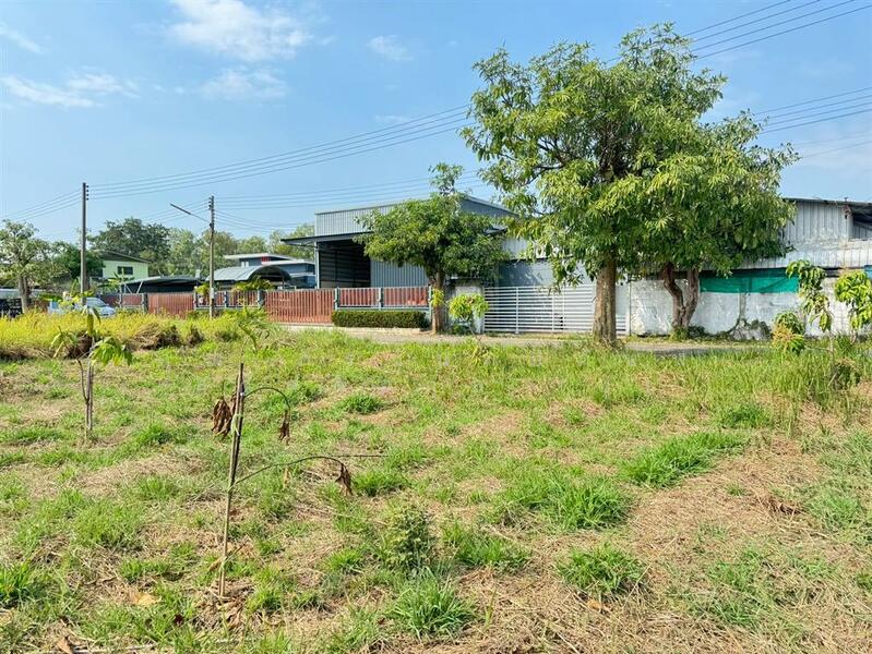 For Sale - ที่ดินเปล่า 100 ตร.ว. ที่ดิน หมู่บ้านออมไทย ใกล้กรมที่ดินสามพราน นครปฐม, Nakhon Pathom