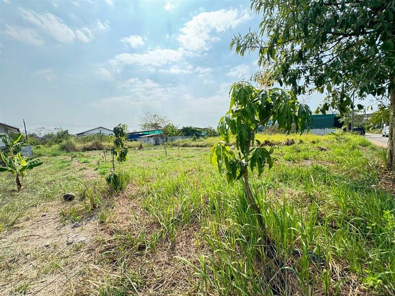 For Sale - ที่ดินเปล่า 100 ตร.ว. ที่ดิน หมู่บ้านออมไทย ใกล้กรมที่ดินสามพราน นครปฐม, Nakhon Pathom