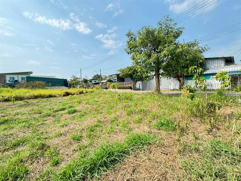 For Sale - ที่ดินเปล่า 100 ตร.ว. ที่ดิน หมู่บ้านออมไทย ใกล้กรมที่ดินสามพราน นครปฐม, Nakhon Pathom