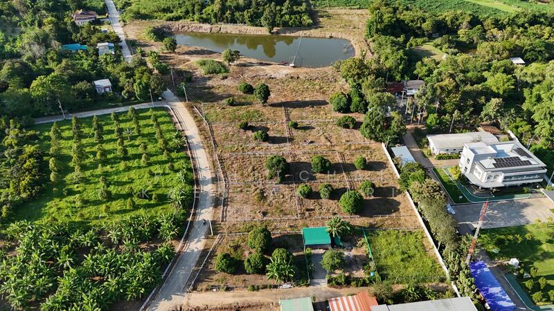 ขาย - ที่ดินแบ่งขายแม่อาย เชียงใหม่, เชียงใหม่