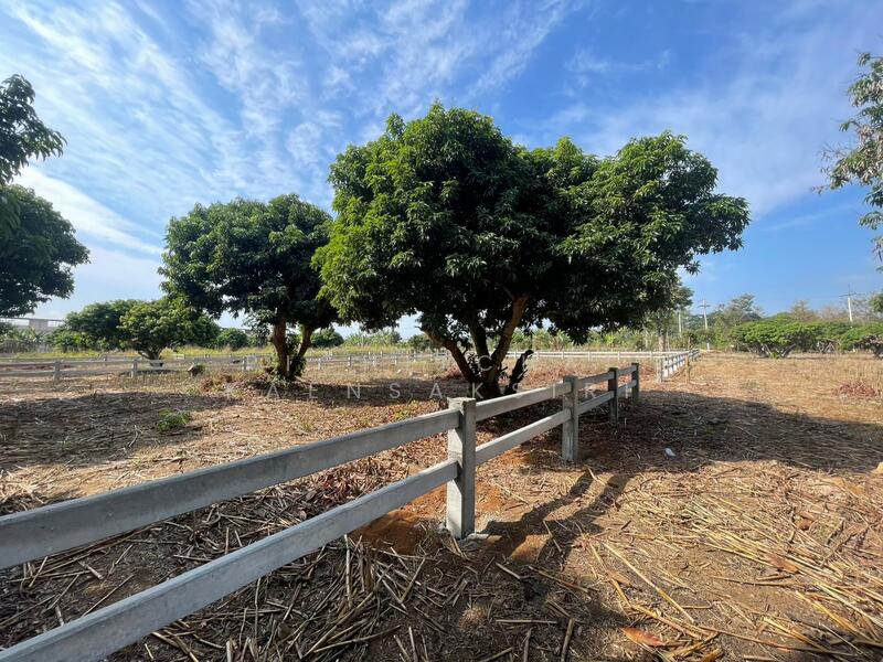 ที่ดินแบ่งขายแม่อาย เชียงใหม่, Chiang Mai, Mae Ai, Mae Ai, Chiang Mai, , 400 sqm, Land For Sale, by Pichitchai Kaensaksiri, 500146845 - DDproperty.com