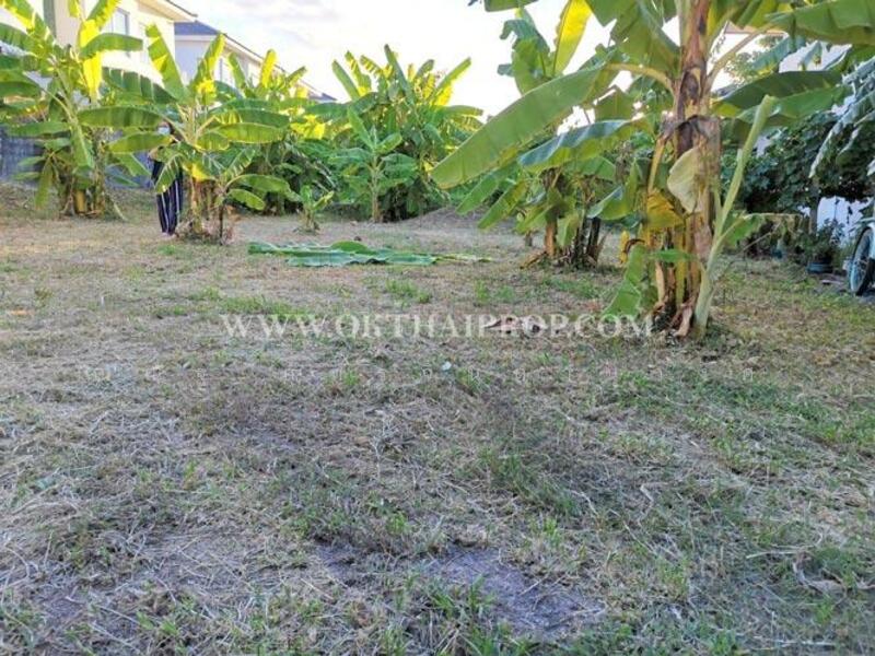 โกสุมรวมใจ 37 แขวงสีกัน เขตดอนเมือง กรุงเทพมหานคร, กรุงเทพ, สีกัน, ดอนเมือง, กรุงเทพ, 312 ตร.ม., ที่ดิน ขาย, โดย ณณัฐ ภัทรจินดานุวงศ์, 500146942 - DDproperty.com