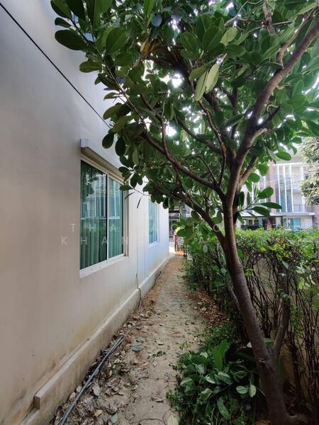 Town Avenue 60’s Vibhavadi 60, Bangkok, Vibhavadi Rangsit Road, Talat Bang Khen, Lak Si, Bangkok, 3 Bedrooms, 180 sqm, Townhouse For Sale, by Thanachot Khantigamongun, 500147035 - DDproperty.com