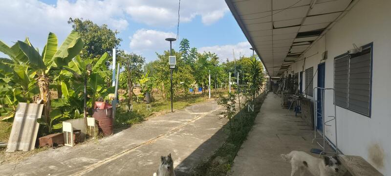 ขาย - ที่ดินแปลงสวย ติดถนนเส้นหลักบ้านกลาง ท่าวังตาล สารภี, เชียงใหม่