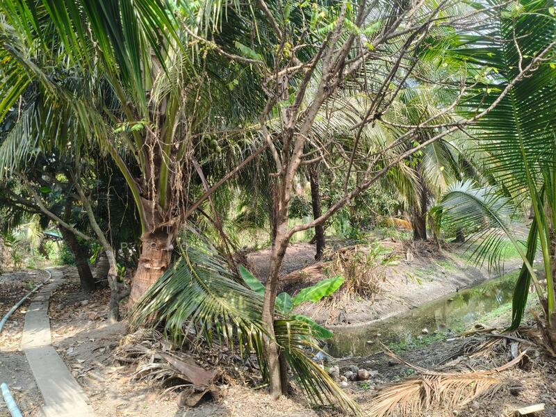 ที่ดินบ้านแพ้ว สมุทรสาคร, Samut Sakhon, Rak Sam, Ban Phaeo, Samut Sakhon, , 1,460 sqm, Land For Sale, by The Best Property โย, 500147212 - DDproperty.com