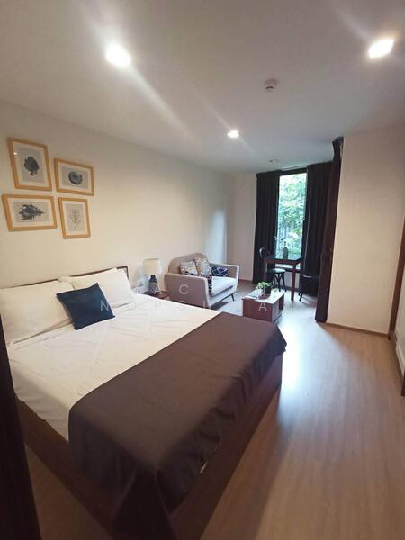 The Base Central, Phuket, Chao Fah Tawan Tok Rd, Wichit, Muang Phuket, Phuket, 1 Bedroom, 28 sqm, Condo For Rent, by Rachen Nopsuwan, 500147242 - DDproperty.com