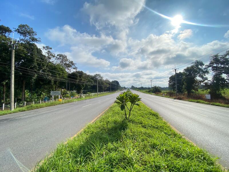 ที่ดินนาจารย์ กาฬสินธุ์, กาฬสินธุ์, นาจารย์, เมืองกาฬสินธุ์, กาฬสินธุ์, 45,180 ตร.ม., ที่ดิน ขาย, โดย The Best Property นก, 500147295 - DDproperty.com