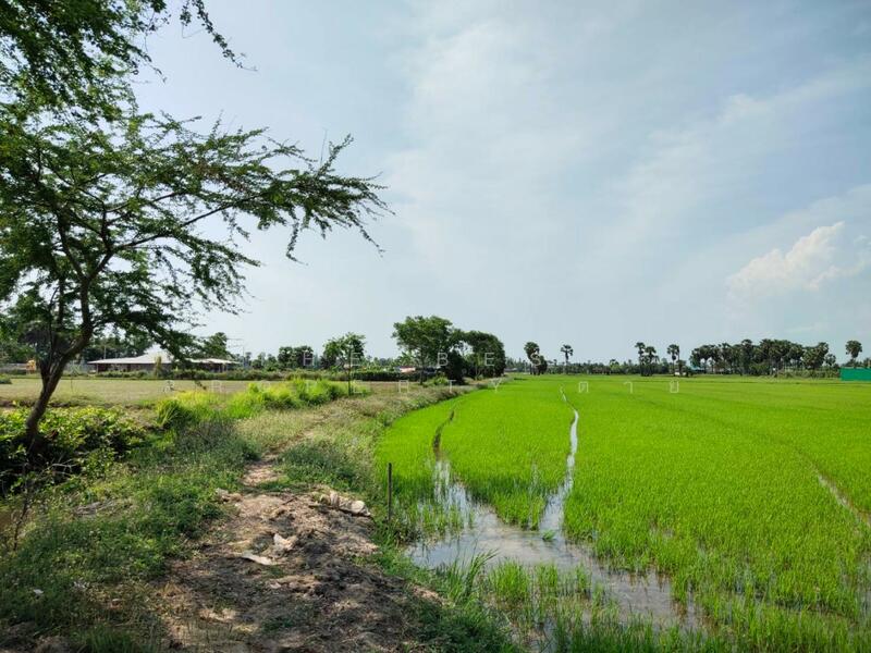 ที่ดินหนองขนาน เพชรบุรี, เพชรบุรี, หนองขนาน, เมืองเพชรบุรี, เพชรบุรี, 3,200 ตร.ม., ที่ดิน ขาย, โดย The Best Property ต่าย, 500147301 - DDproperty.com
