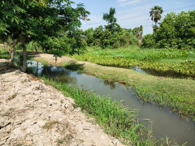 ที่ดินหนองขนาน เพชรบุรี, เพชรบุรี, หนองขนาน, เมืองเพชรบุรี, เพชรบุรี, 3,200 ตร.ม., ที่ดิน ขาย, โดย The Best Property ต่าย, 500147301 - DDproperty.com
