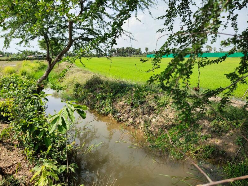 ที่ดินหนองขนาน เพชรบุรี, เพชรบุรี, หนองขนาน, เมืองเพชรบุรี, เพชรบุรี, 3,200 ตร.ม., ที่ดิน ขาย, โดย The Best Property ต่าย, 500147301 - DDproperty.com