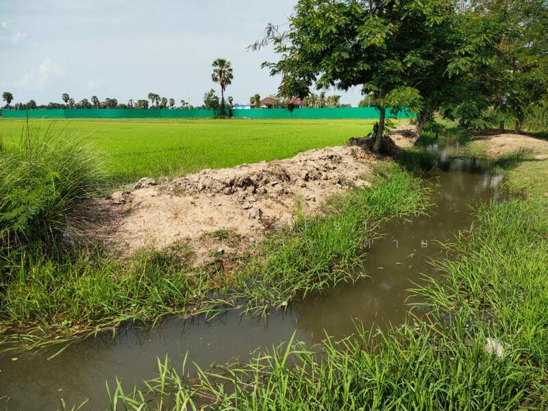 ที่ดินหนองขนาน เพชรบุรี, เพชรบุรี, หนองขนาน, เมืองเพชรบุรี, เพชรบุรี, 3,200 ตร.ม., ที่ดิน ขาย, โดย The Best Property ต่าย, 500147301 - DDproperty.com