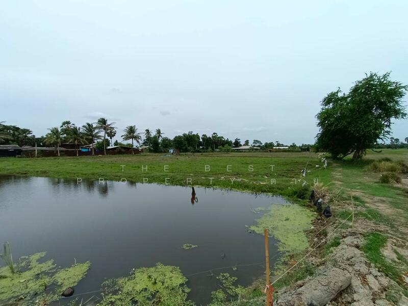 ที่ดินหนองขนาน เพชรบุรี, เพชรบุรี, หนองขนาน, เมืองเพชรบุรี, เพชรบุรี, 3,200 ตร.ม., ที่ดิน ขาย, โดย The Best Property ต่าย, 500147301 - DDproperty.com