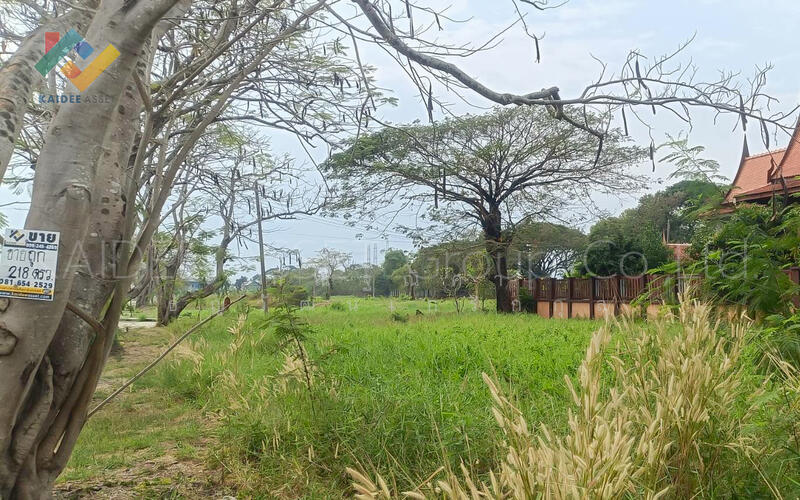 Windsor Park and Golf Club, Bangkok, สุวินทวงศ์, Khok Faed, Nong Chok, Bangkok, , 872 sqm, Land For Sale, by Kannisa Thanwatthanakrirkul, 500147395 - DDproperty.com